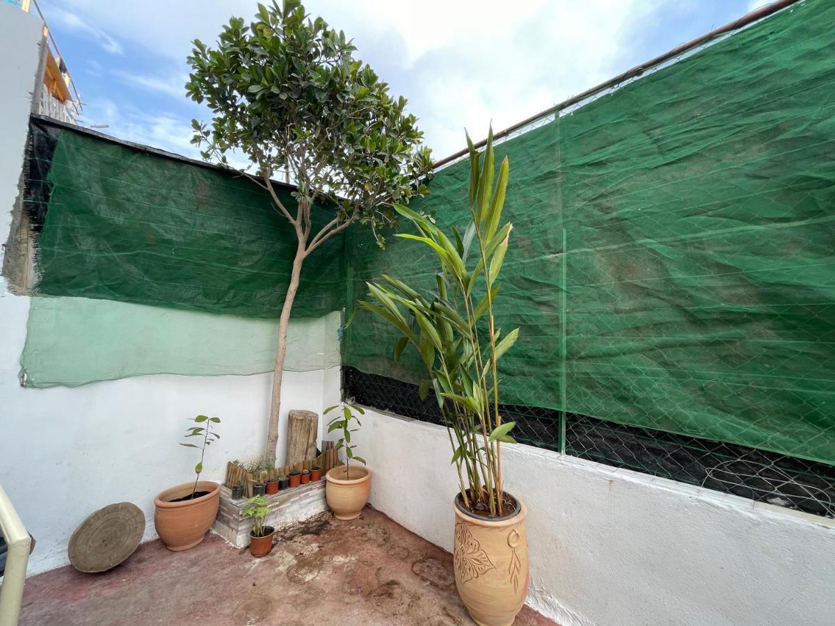 Albergue Jungle Surf House Taghazout Exterior foto