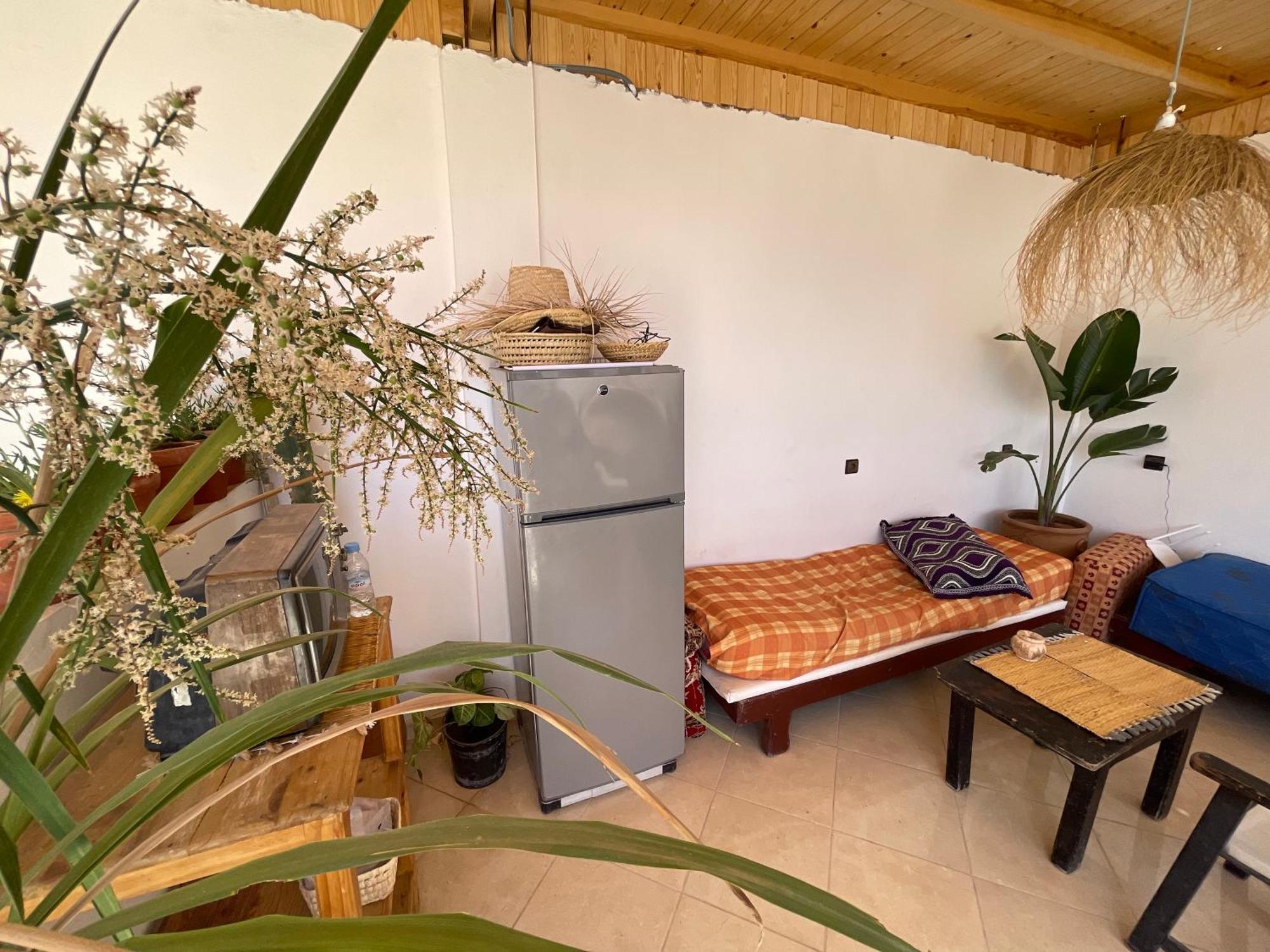 Albergue Jungle Surf House Taghazout Exterior foto